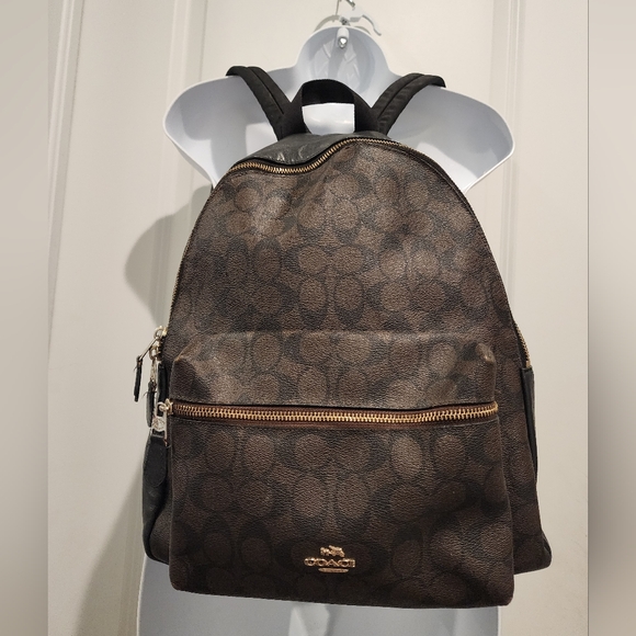 Brown Patterned Backpack - Picture 1 of 4